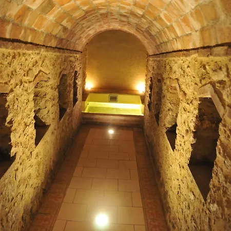 Aparthotel Regina 4*